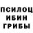 Галлюциногенные грибы ЛСД Anna Rossenberg
