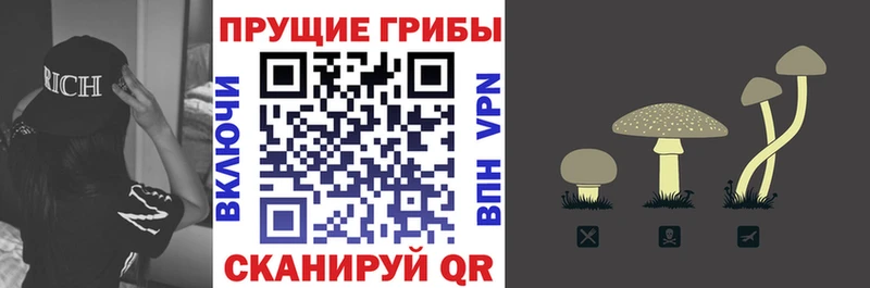 где купить наркоту  Электросталь  Псилоцибиновые грибы мухоморы 